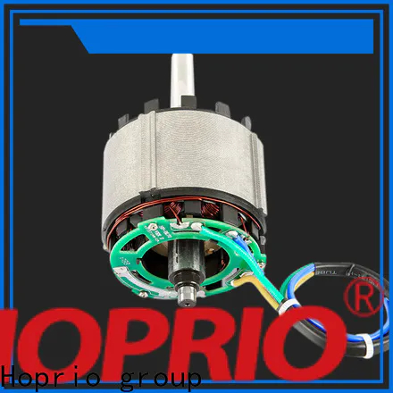 high speed high power brushless motor customized for household appliances