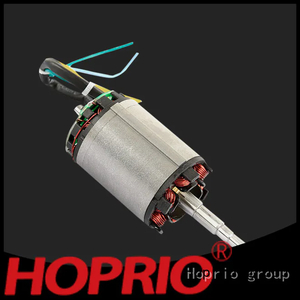 Hoprio energy-saving best brushless motor for electric vehicles