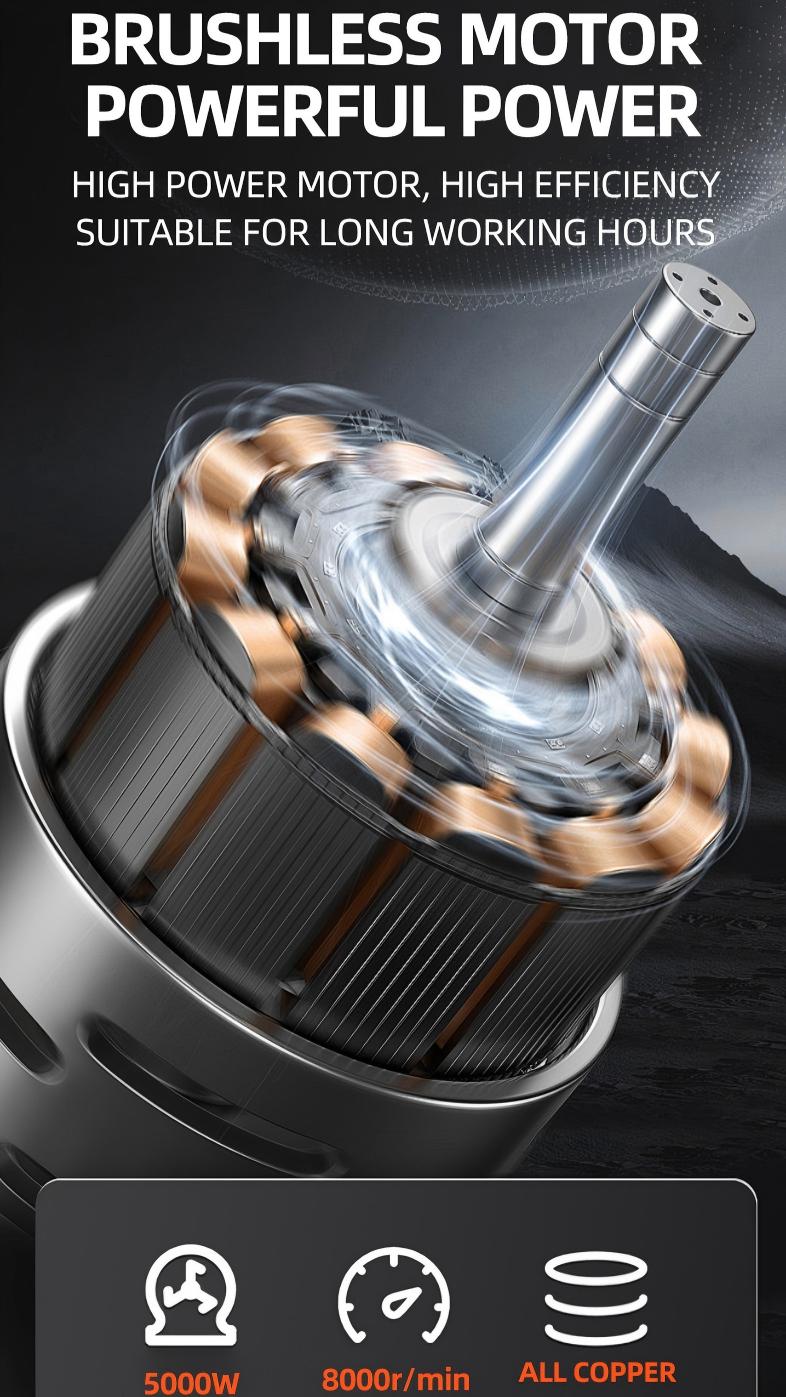 Z1R-230YE1-Brushless Motor